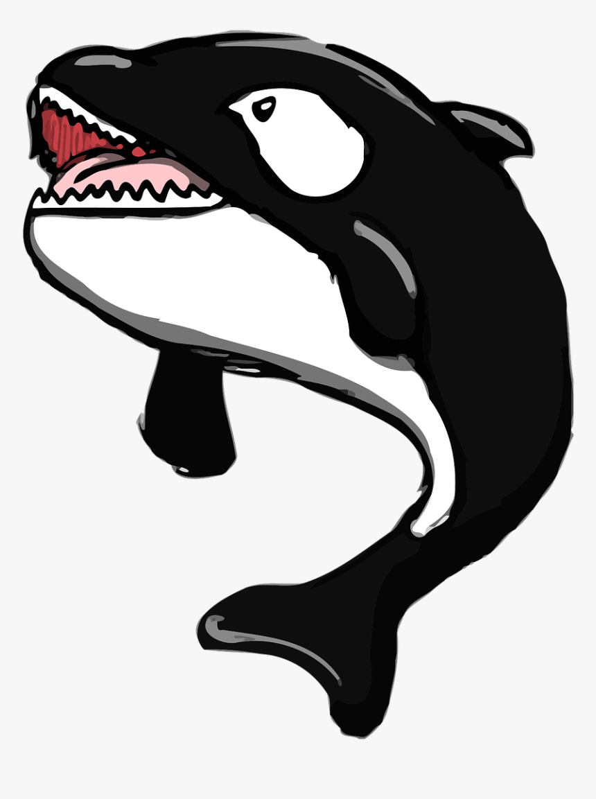 Whales, HD Png Download