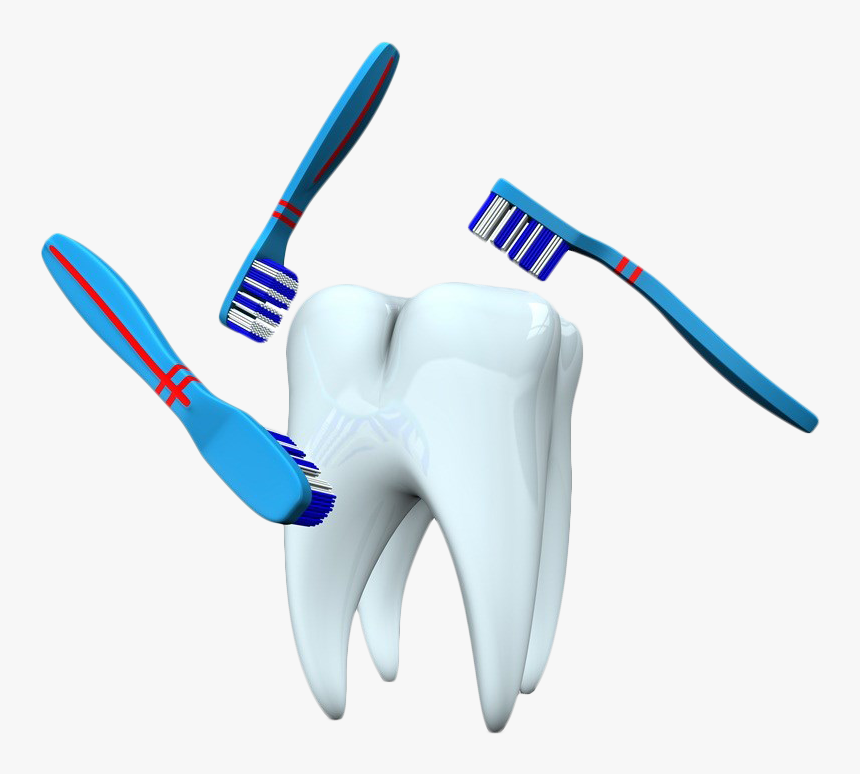Single Teeth Png Background Image - Toothbrush, Transparent Png