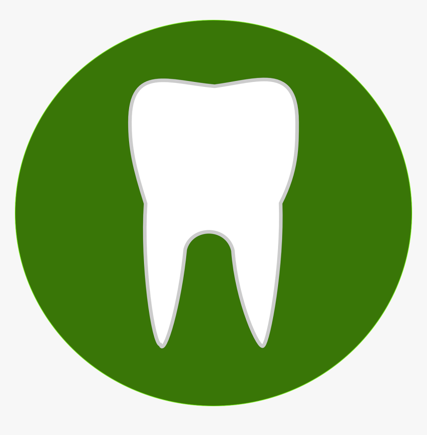 Teeth, Dental, Green, Medicine, Medical, Tooth - Peercoin Ppc, HD Png Download