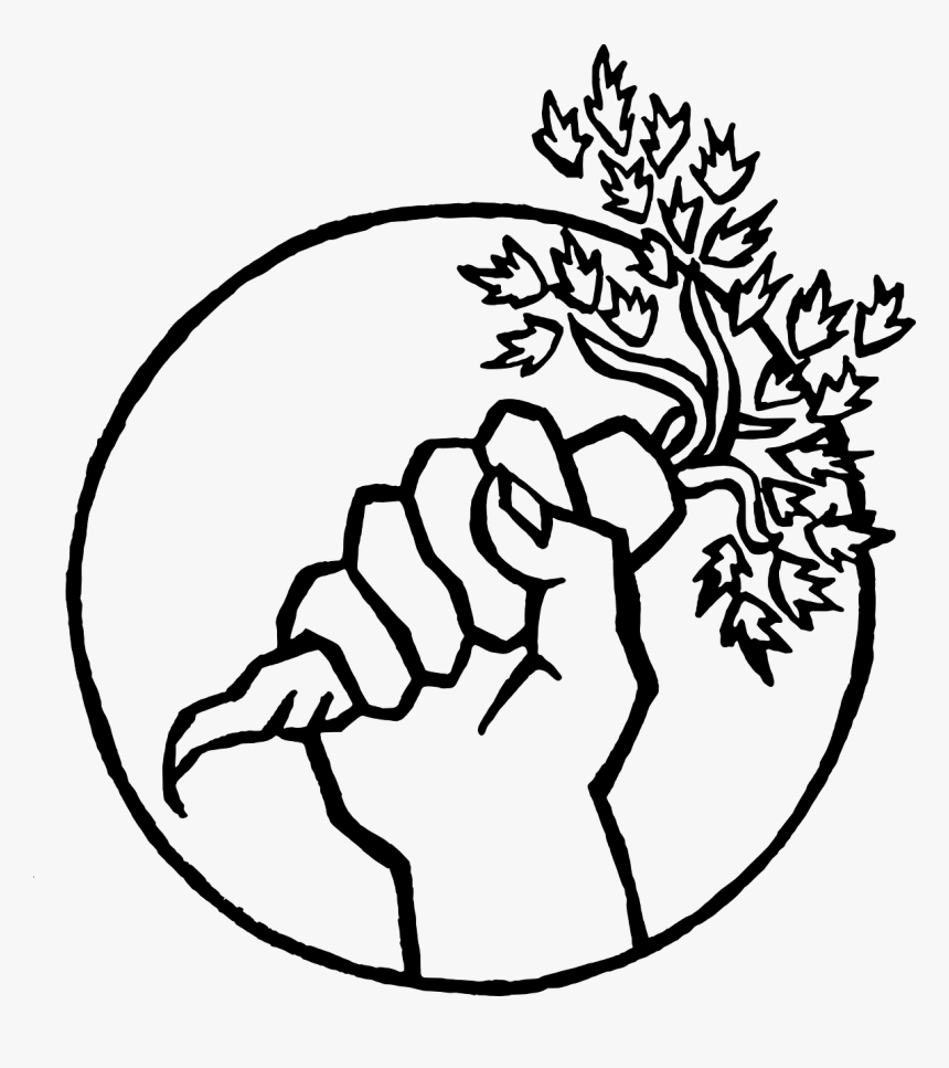 Food Not Bombs Logo, HD Png Download