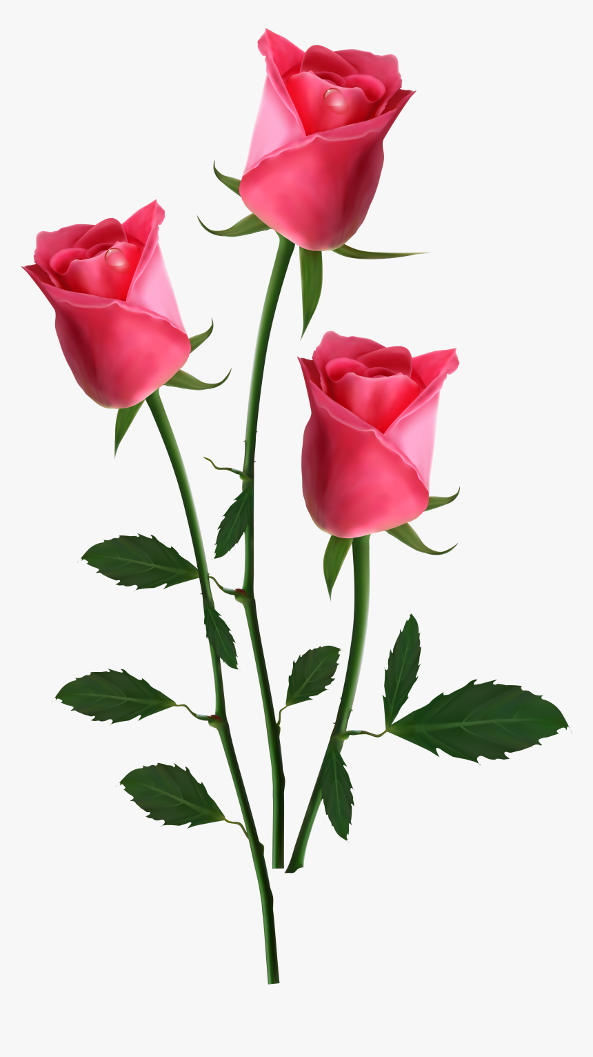 Garden Roses Flower Clip Art - New Happy Valentines Day, HD Png Download