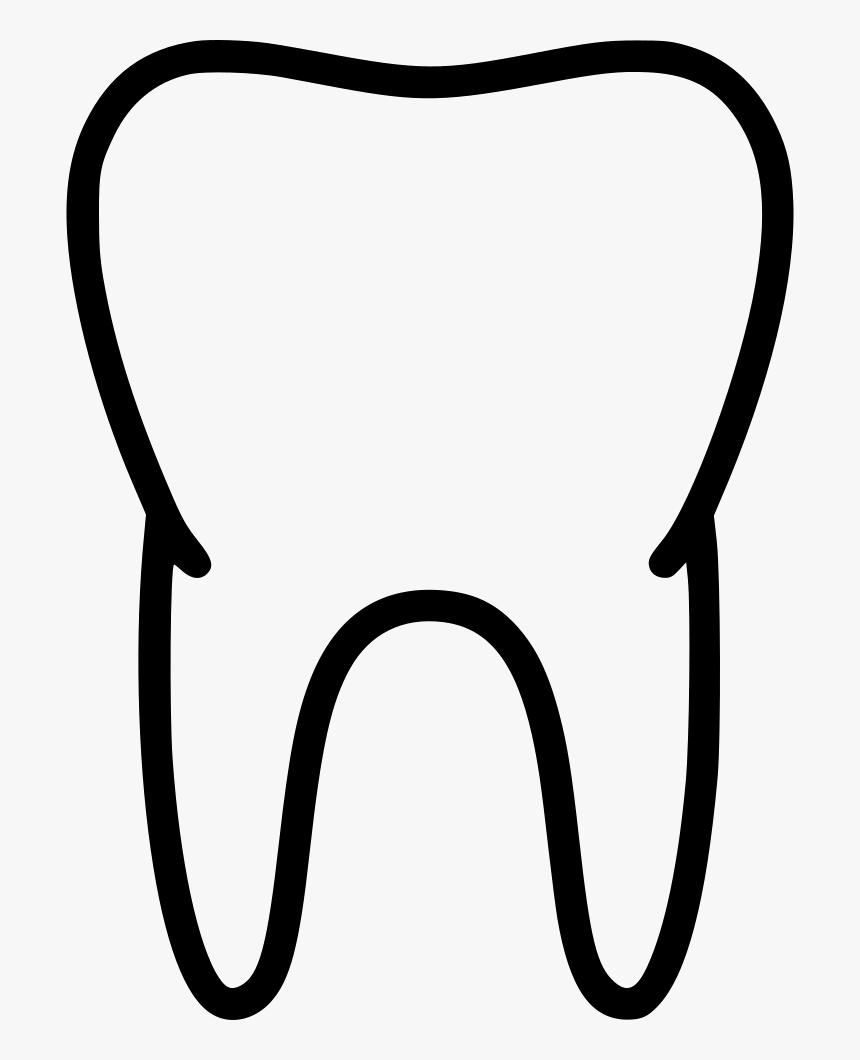 Tooth Teeth Healthy Biology Anatomy Medicine - Medicine, HD Png Download