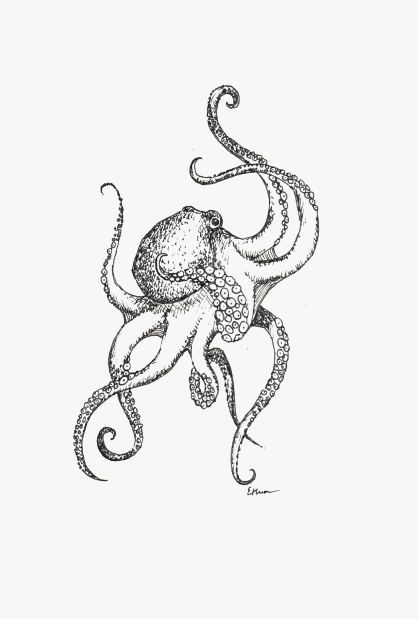 Octopus, HD Png Download