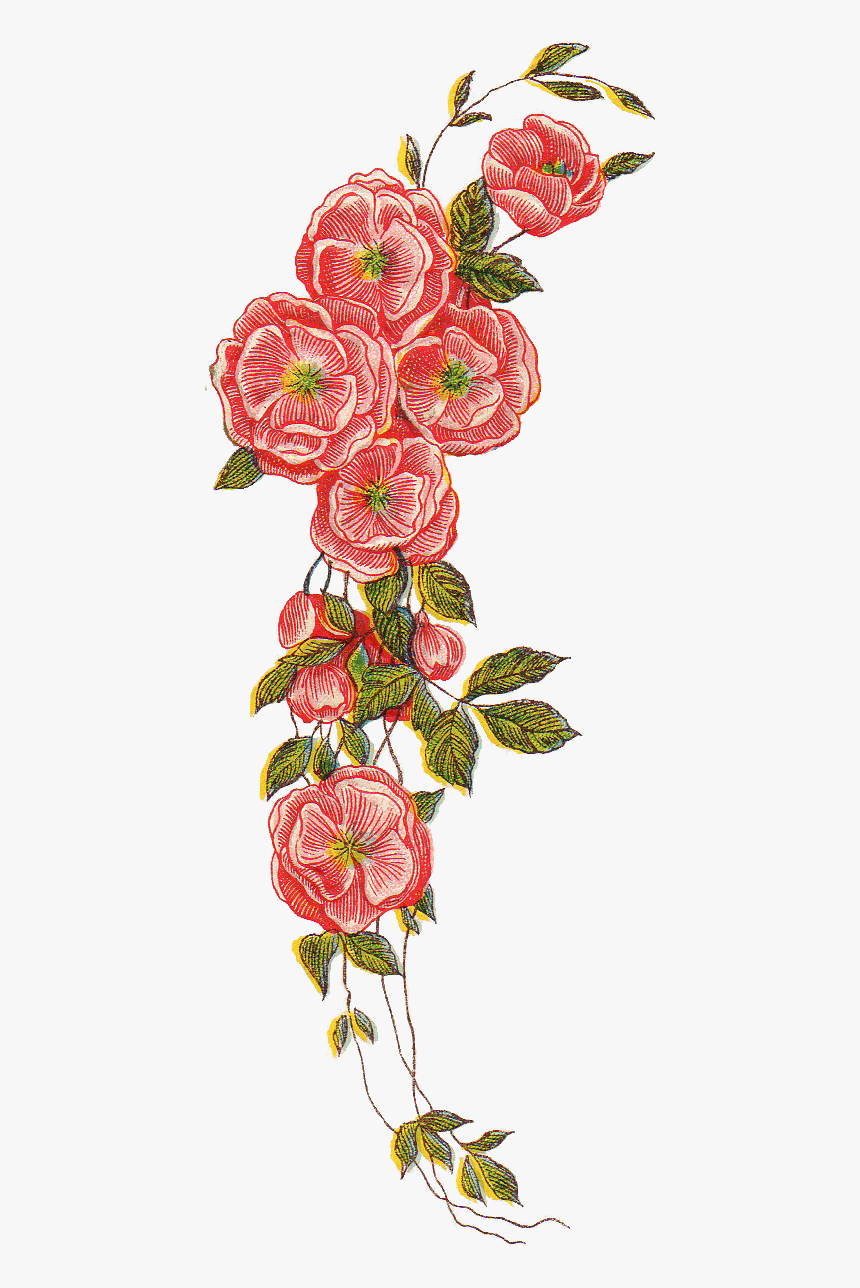 Vintage Png File Vintage Png Transparent Png Transparent Png Image Pngitem