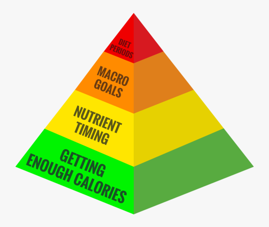 Snp - Importance Of Nutrition In Sports, HD Png Download