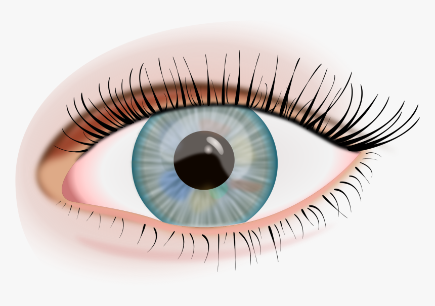 Eye Png Image - Ojo Humano Png, Transparent Png