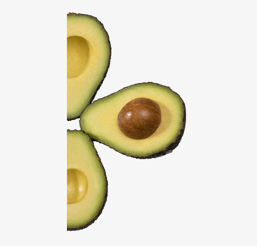 Transparent Avacado Clipart - Avocado, HD Png Download
