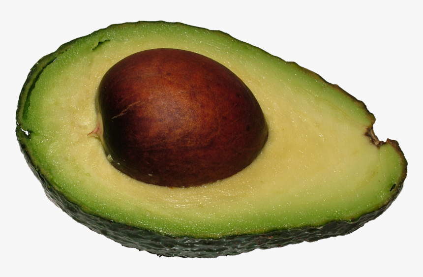 Avocado Png - Avocat Png, Transparent Png