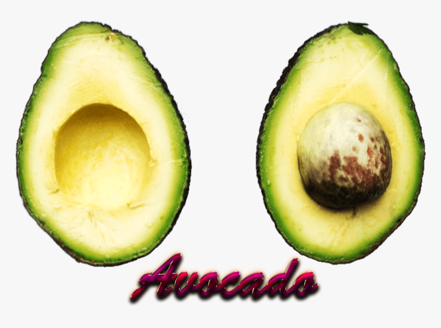 Avocado Download Png - Portable Network Graphics, Transparent Png