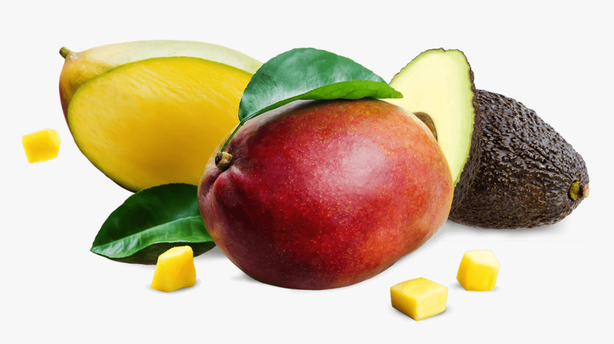 Mango Avocado Png, Transparent Png