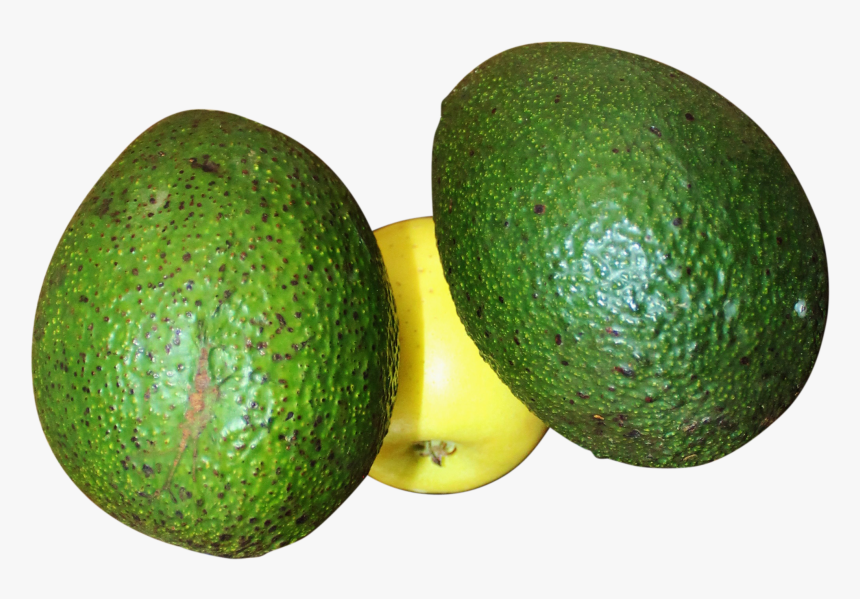 Avocado Png Image - Persian Lime, Transparent Png