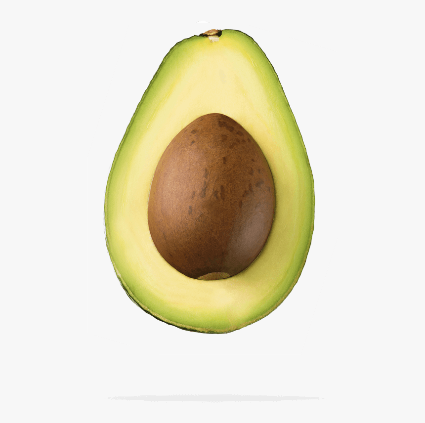 Avocado, HD Png Download