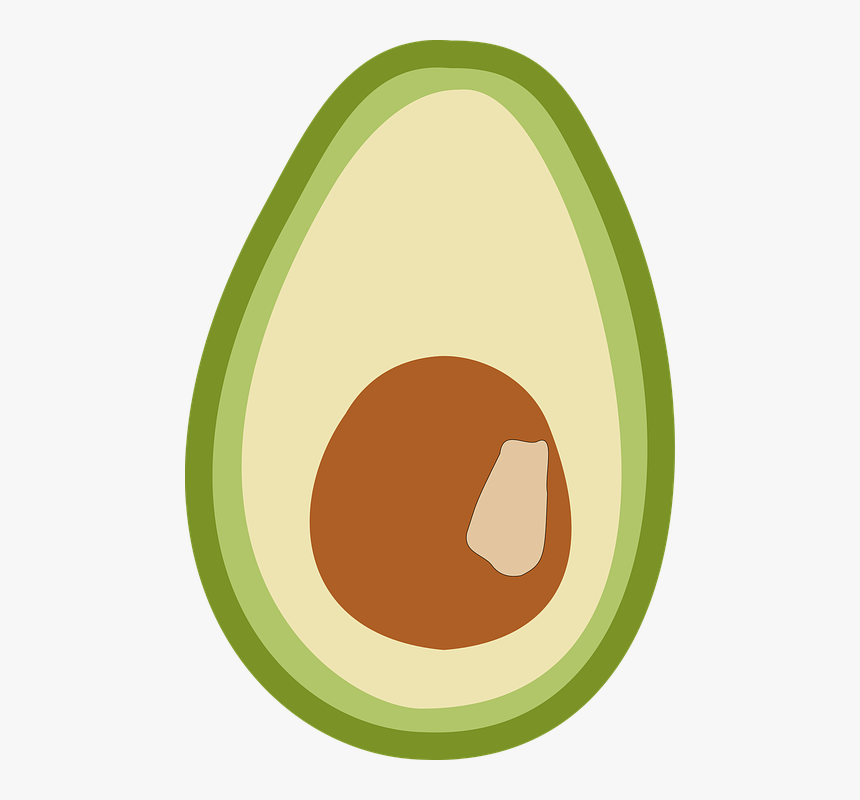 Avocado, Fruit, Vegetables, South America, Vegetarian - Circle, HD Png Download