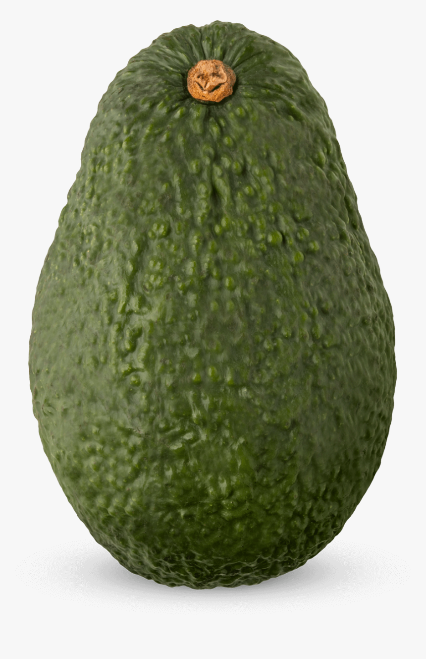 Avocado High Definition Png, Transparent Png