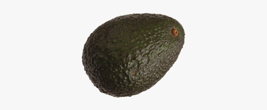 Avocado, HD Png Download