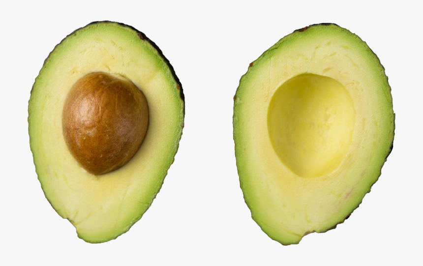 The New Stem Cell Multiplication Method Could Double - Avocado, HD Png Download