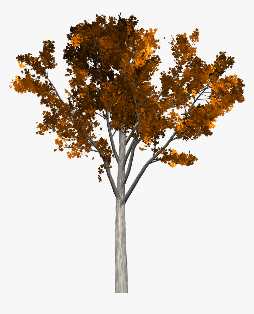 Arboles Otoño Png, Transparent Png