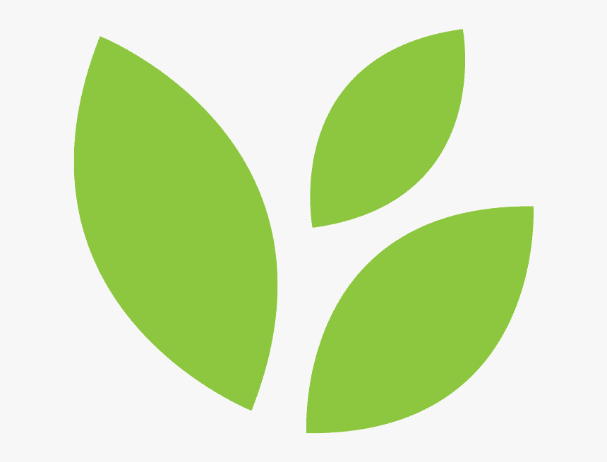 Clipart Leaf - 0 - 0 - Rainforest Journey Life Science - Leaf Png Minimal, Transparent Png