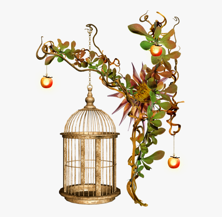 Tube Automne, Cluster, Cage - Tube De Cage Oiseaux, HD Png Download