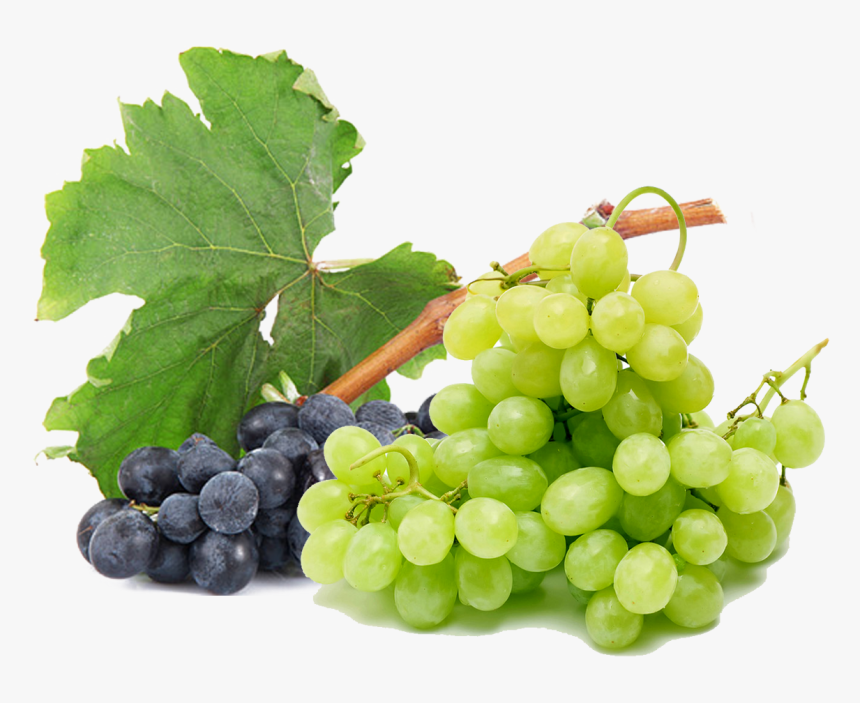 Grapes Free Png Image - Grapes Green Purple Png, Transparent Png