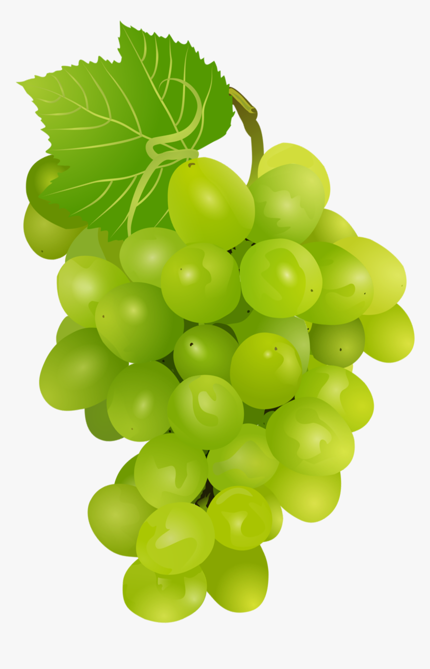 Currant - Green Grapes Pngs Transparent, Png Download