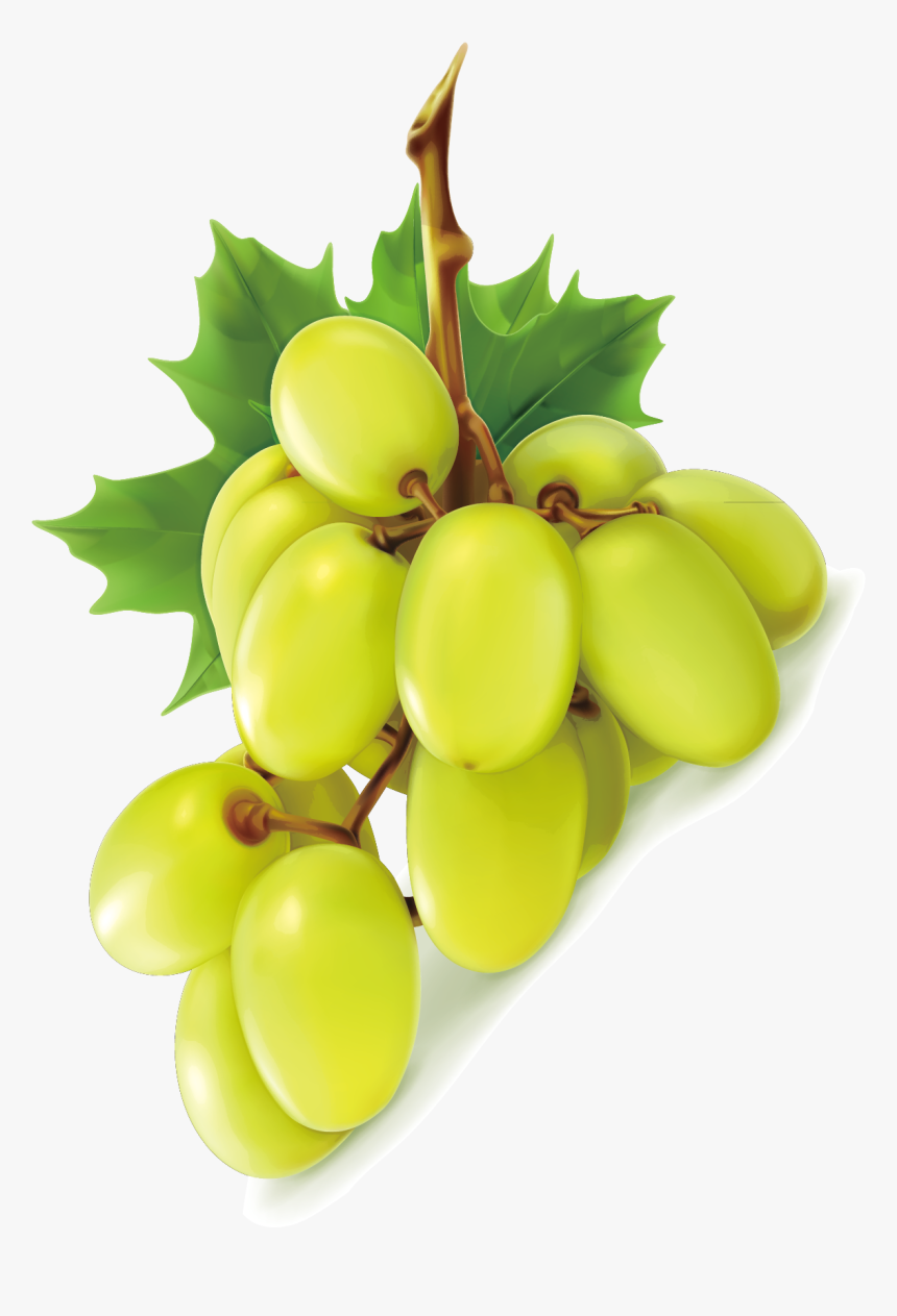 Vector Red Grape Png, Transparent Png