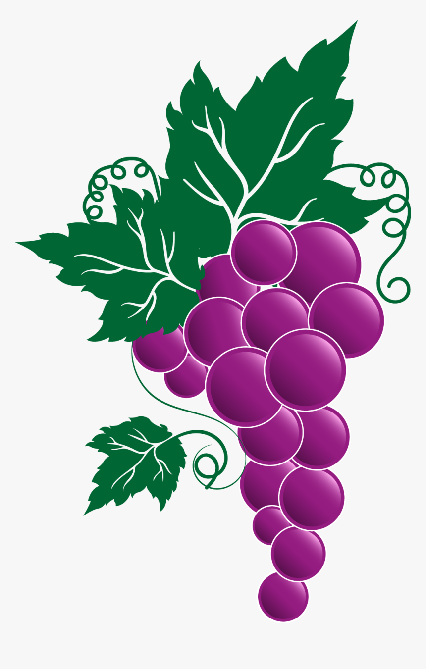 Grape Png Transparent Free Images - Grapes On The Vine Clipart, Png Download