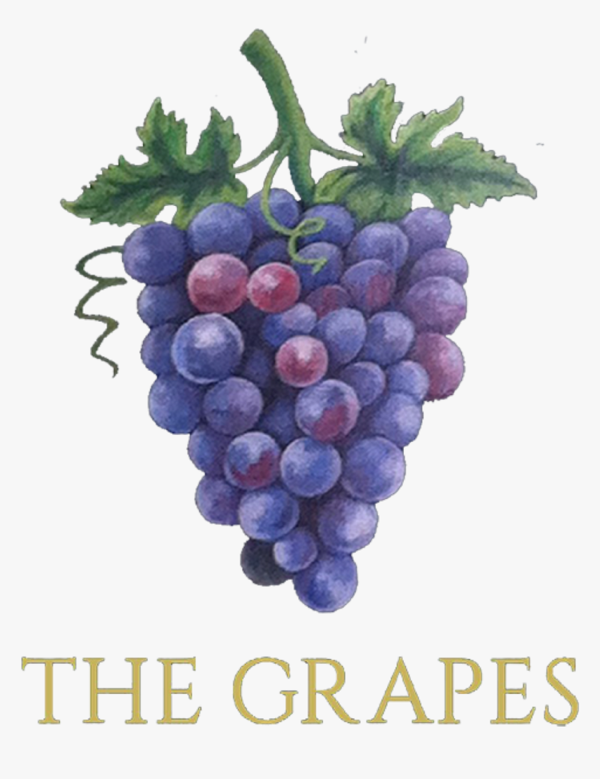 Grapes , Png Download - Seedless Fruit, Transparent Png