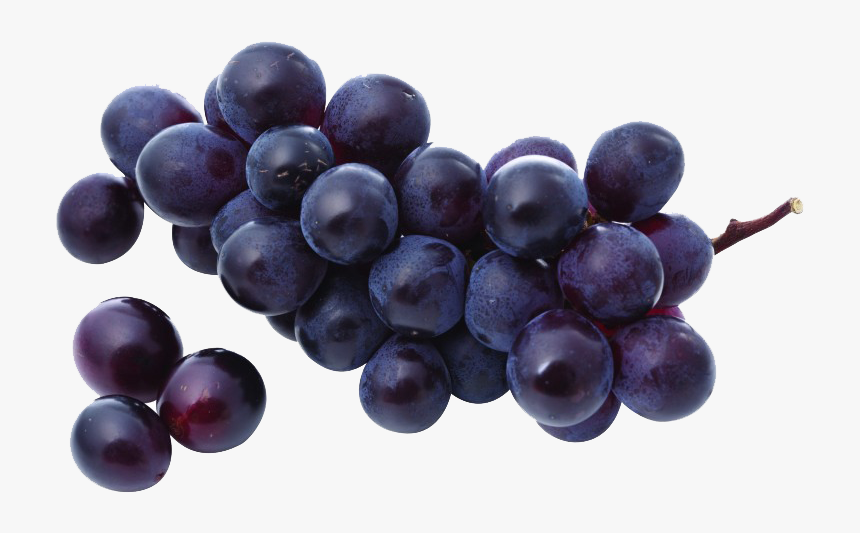 Transparent Purple Grapes Clipart Purple Grapes Png, Png Download