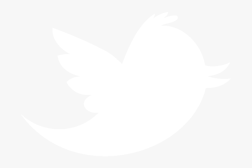 10 Best Photos Of White Transparent Twitter Bird Logo - Spiderman White Logo Png, Png Download