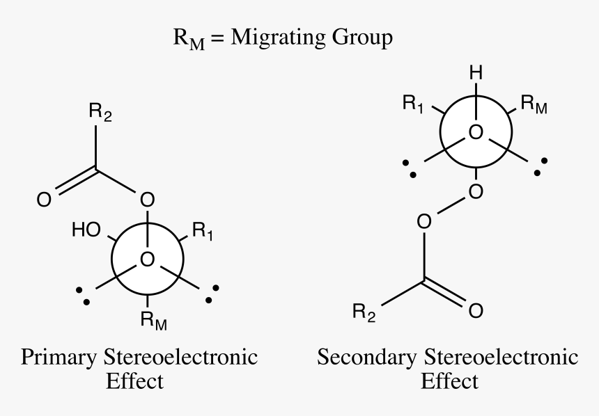 Baeyer-villiger Oxidation Stereoelectronic Effects - Baeyer Villiger Oxidation Stereoelectronic Effects, HD Png Download