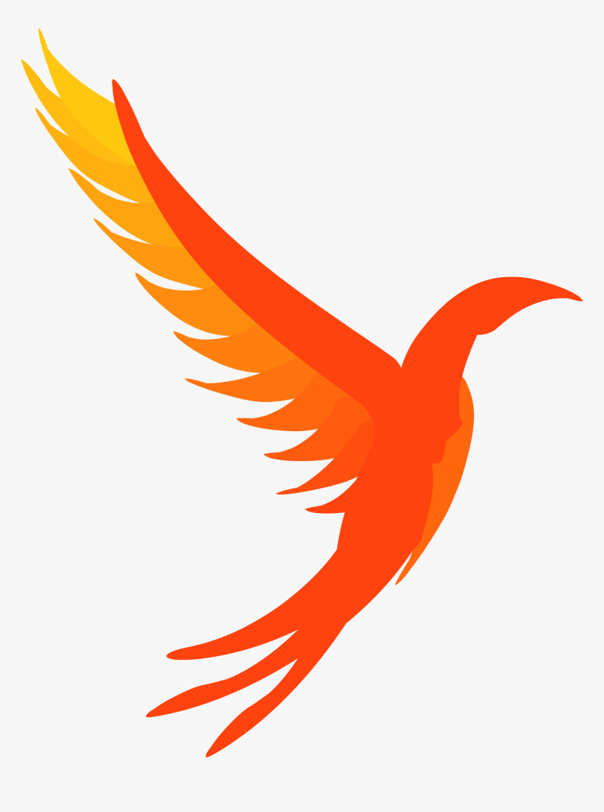 Phoenix Png Logo - Illumos Logo Png, Transparent Png