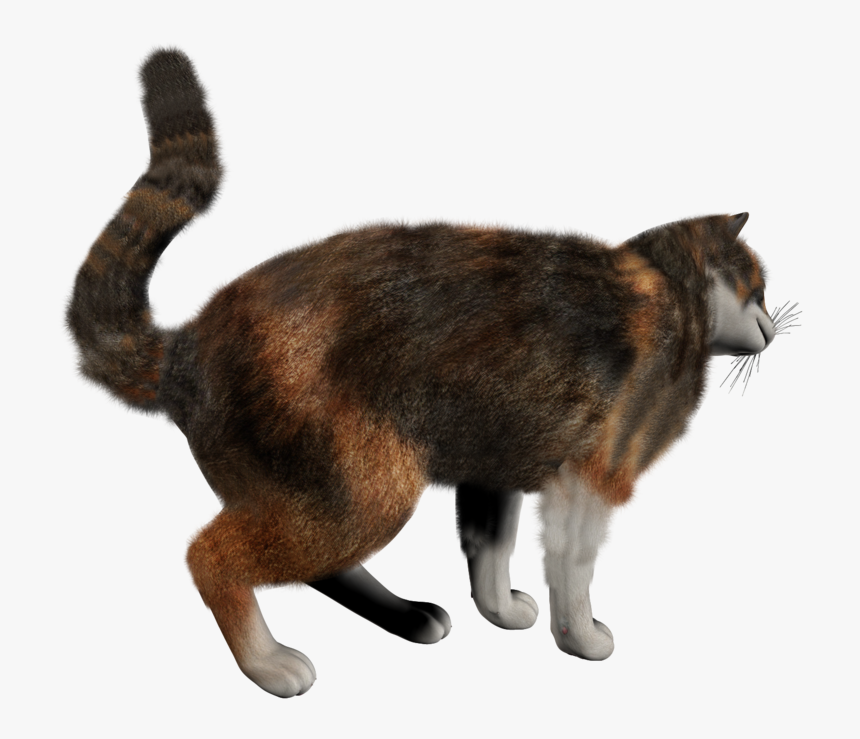 130 - Cat, HD Png Download