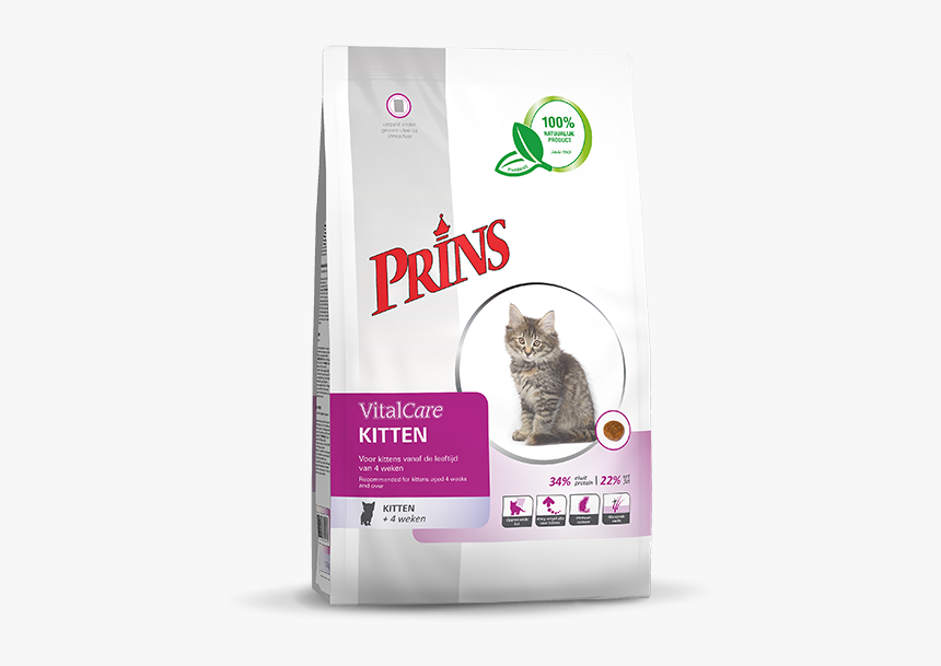 Kitten Png, Transparent Png