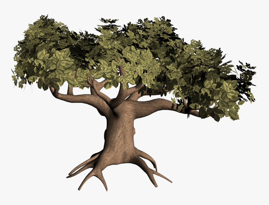 3d Tree Png - 3d Tree Model Png, Transparent Png