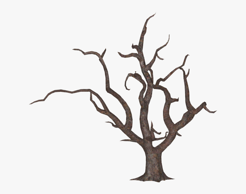 Tree , Png Download - Oak, Transparent Png