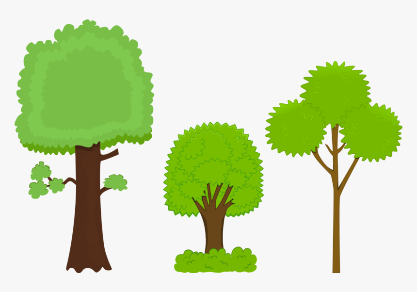 Plant,leaf,tree - Big Tree And Small Tree Clipart, HD Png Download