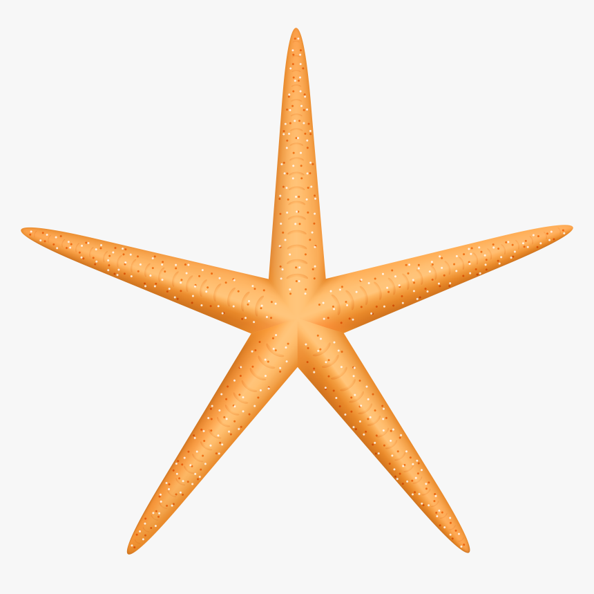 Yellow Starfish Png Clip Art, Transparent Png