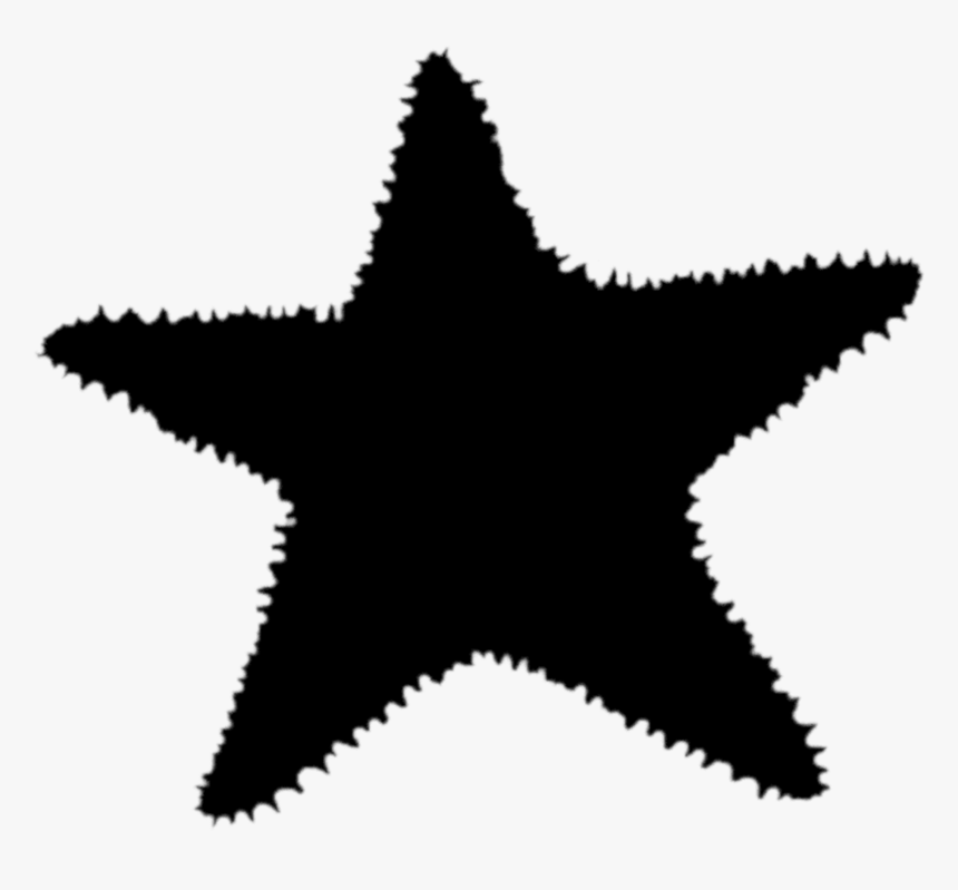 Starfish Silhouette Png - Macy's North Star Strategy, Transparent Png