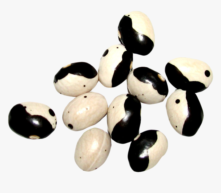 Yin Yang Beans Png Image - Yin And Yang, Transparent Png