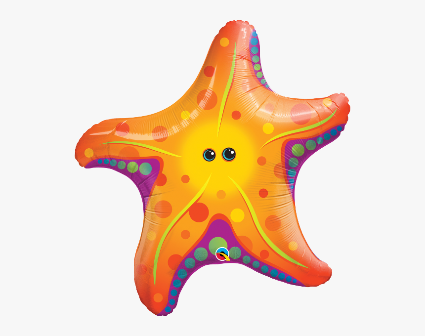 Invertebrates - Sea Star Transparent, HD Png Download