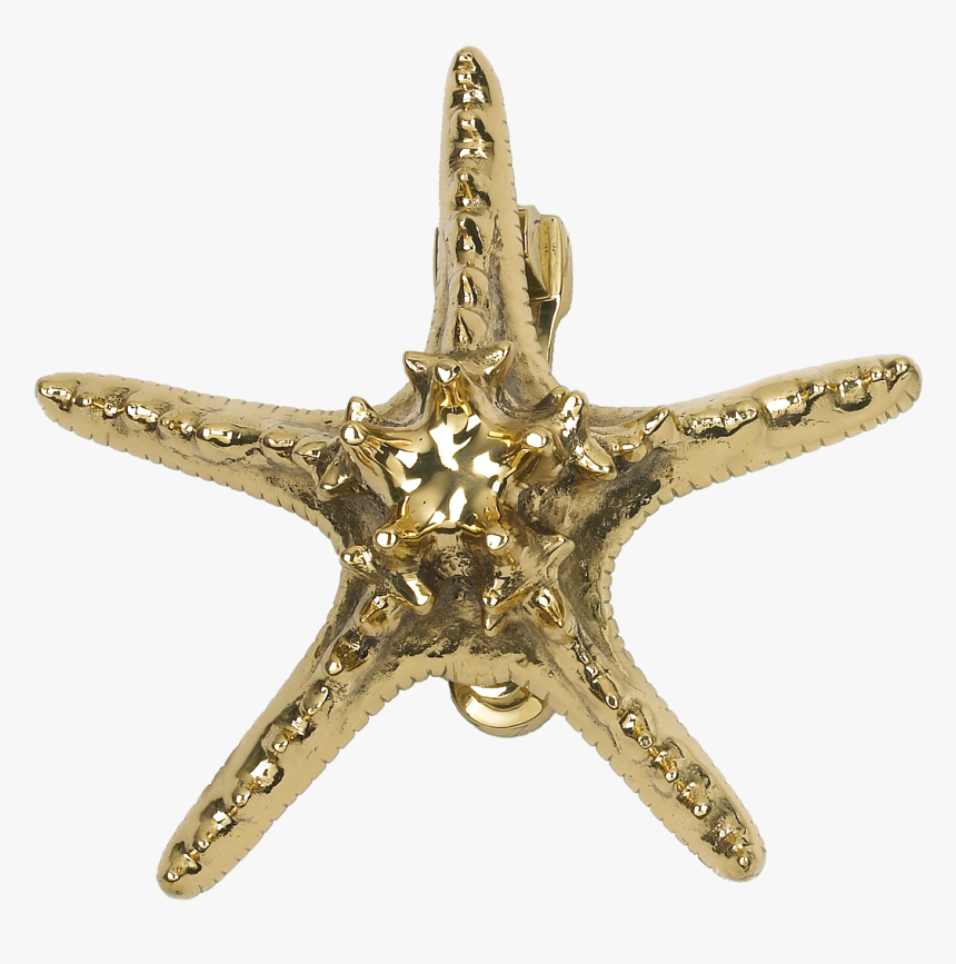 Starfish Png Hd - Dancer Written In Pink, Transparent Png