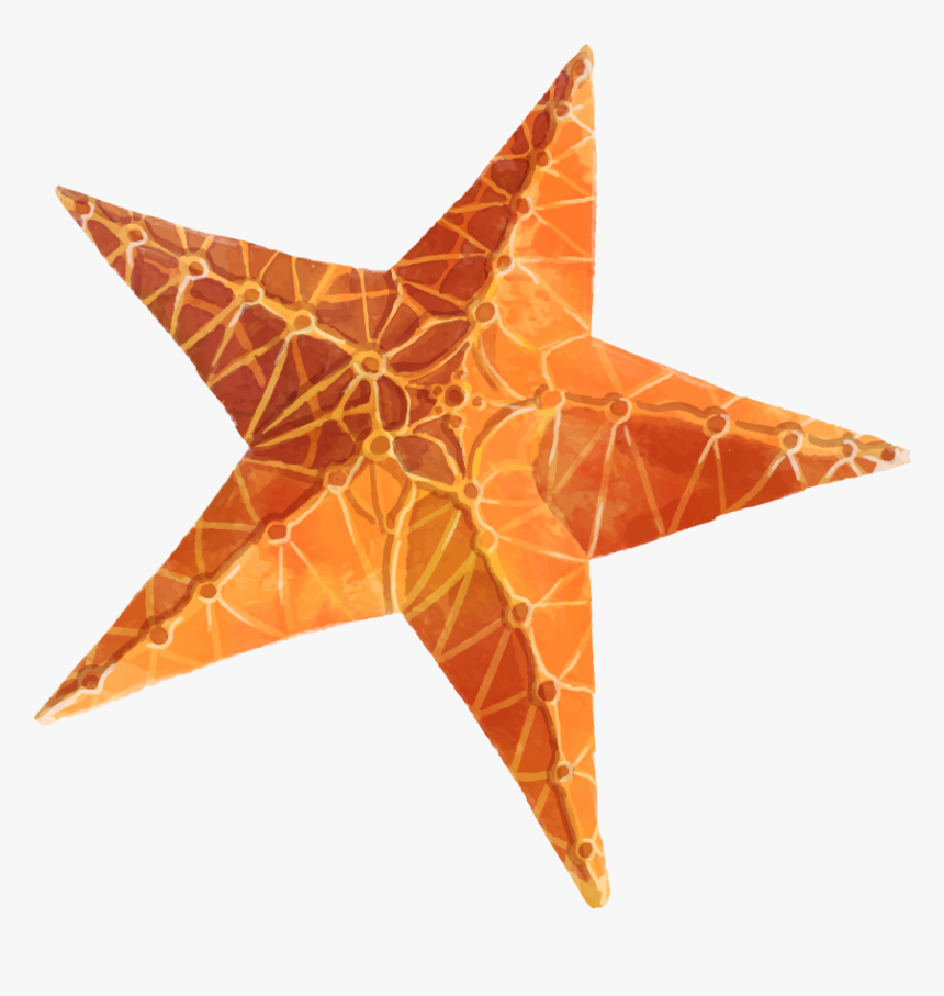 Starfish Clip Art Png - Clip Art, Transparent Png