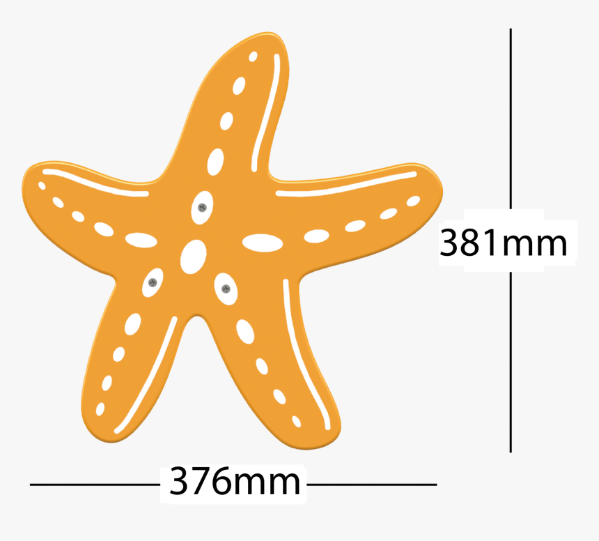 Starfish, HD Png Download