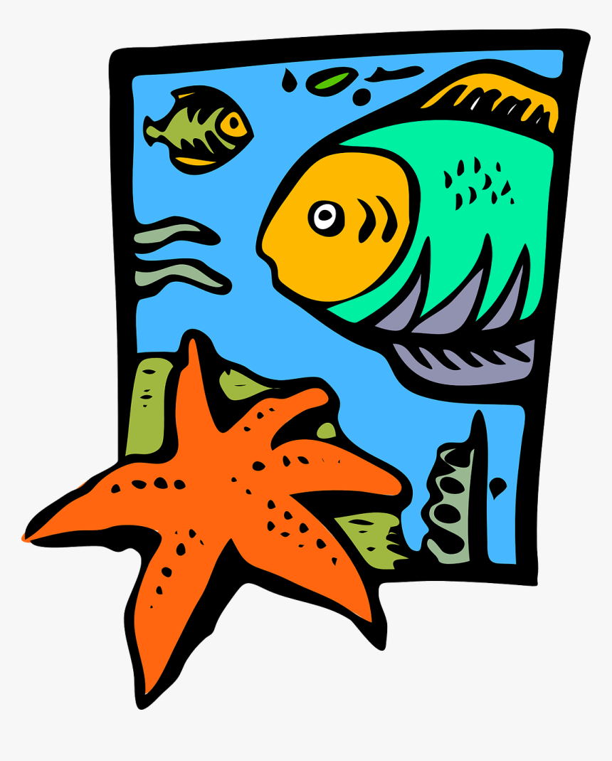 Clip Art Marine Biology, HD Png Download