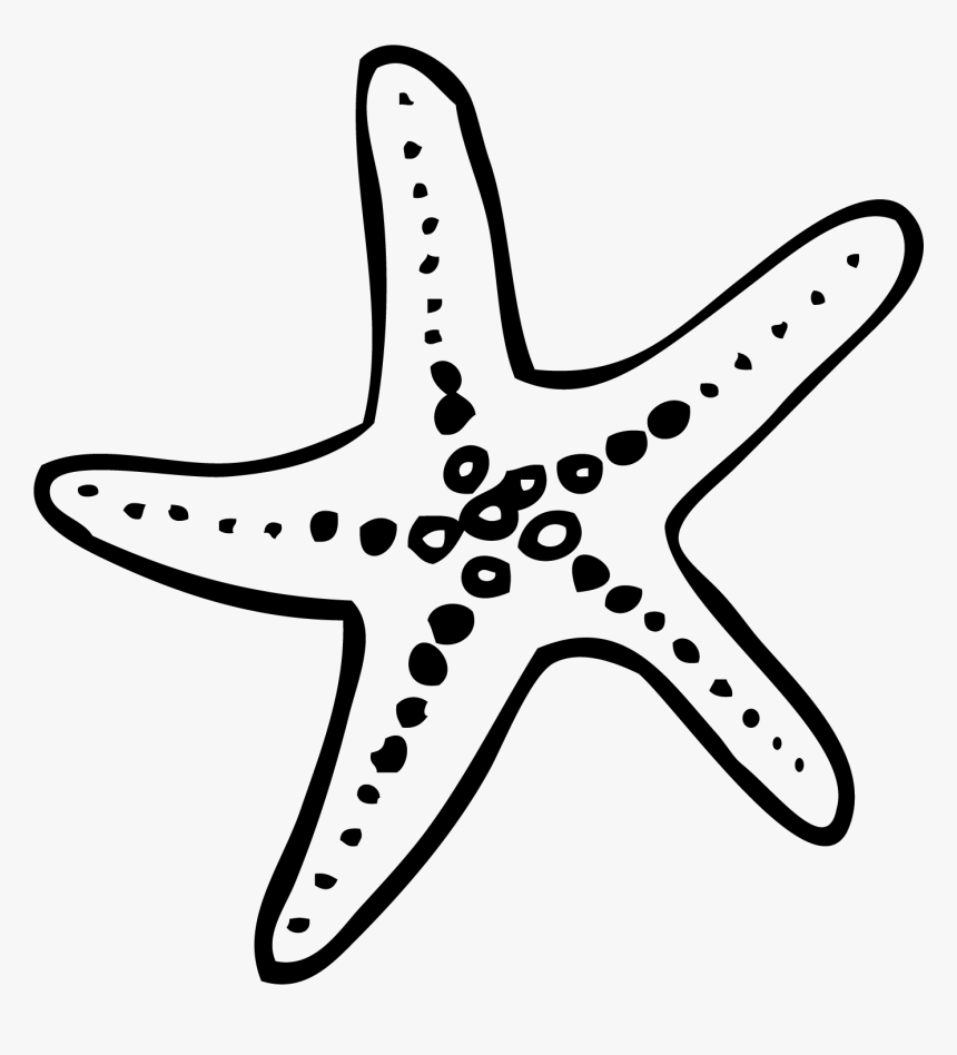 Francis Len Oasis Wedding - Starfish Doodle Png, Transparent Png