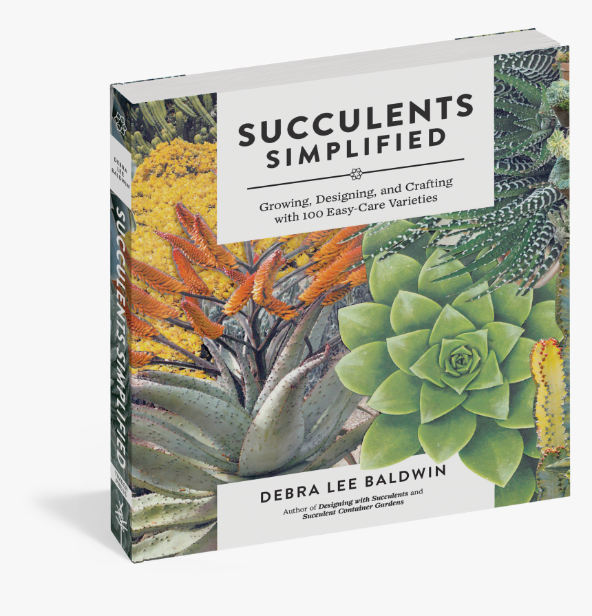 Cover - Succulents Seattle, HD Png Download