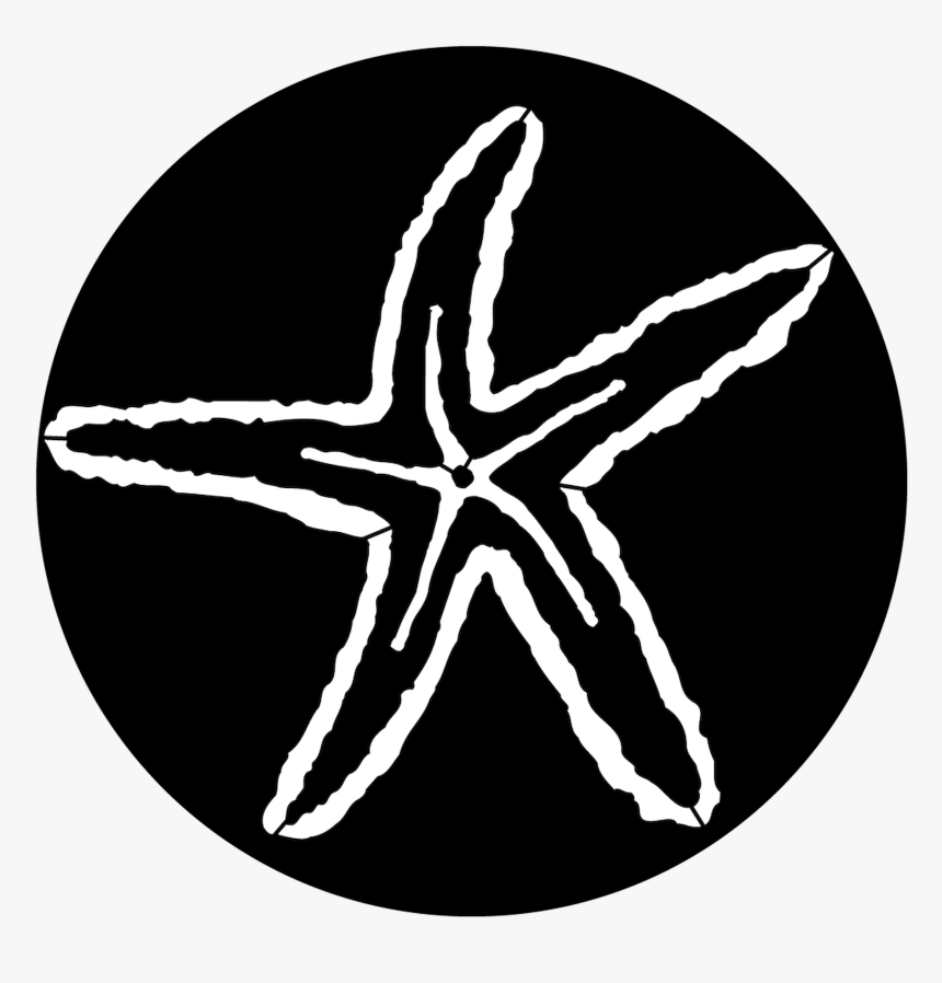 Apollo Sea Starfish Steel Gobo Ms-7005 , Png Download - Marine Invertebrates, Transparent Png