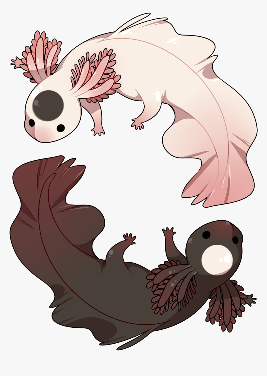 Transparent Yin Yang Clipart - Cartoon, HD Png Download