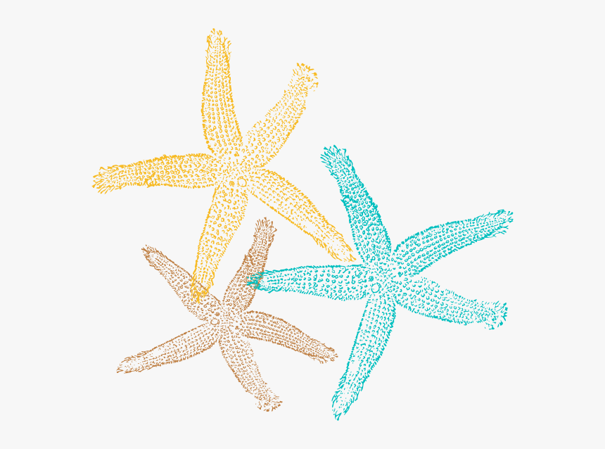 Transparent Starfish Clipart Transparent Background Starfish